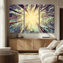 Tree and Sunshine Canvas Print