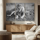 King Forest Lion Wall Art Canvas Print – Framed Majestic by MyGreatCanvas | Canvas Wall Art Prints | Photo Prints & Wall Decor