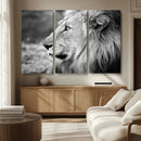 African Lion Wall Art Canvas Print – Majestic Wildlife