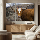 Texas Longhorn Canvas Wall Art - Longhorn Steer Canvas Wall by MyGreatCanvas | Canvas Wall Art Prints | Photo Prints & Wall Decor