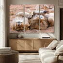 Lion Pair Wall Art Canvas Print – Framed Wildlife Scene with
