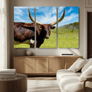 Longhorn and Cow Wall Art, Country Cow Wall Decor Canvas by MyGreatCanvas | Canvas Wall Art Prints | Photo Prints & Wall Decor