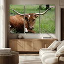 Longhorn Steer Canvas Wall Art – Rustic Nature Triptych by MyGreatCanvas | Canvas Wall Art Prints | Photo Prints & Wall Decor