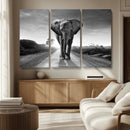 Black and White Elephant Wall Art Canvas Print