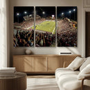Washington-Grizzly Stadium Canvas Print, American Football