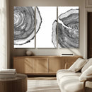 Abstract Large Tree Rings – Minimalist Black and White Wood