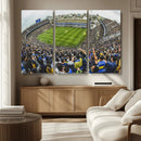 Boca Juniors Soccer Team Print Wall Art - Buenos Aires