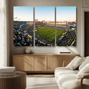 Boca Juniors Soccer Team Print - Buenos Aires Bombonera