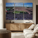 South Carolina Gamecocks Football Team Print - Columbia