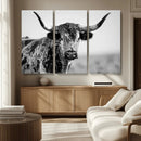Texas Cow Longhorn Wall Art Canvas Print in Black and White