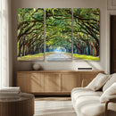 Wormsloe State Plantation Driveway Wall Art Canvas Print by MyGreatCanvas | Canvas Wall Art Prints | Photo Prints & Wall Decor