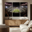 Eagles Field Stadium Wall Art - Philadelphia Eagles Football