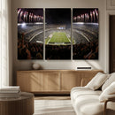 Eagles Field Stadium Wall Art - Philadelphia Eagles Football