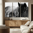 Black Horse in Snow Canvas Print | Winter Horse Wall Art |