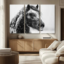 Winter Horse Canvas Print | Large 3-Panel Black White Equine by MyGreatCanvas | Canvas Wall Art Prints | Photo Prints & Wall Decor