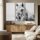 White Horse Wall Art | Ready to Hang and Framed | Winter