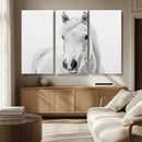 Majestic White Horse Wall Art | Ready to Hang and Framed | by MyGreatCanvas | Canvas Wall Art Prints | Photo Prints & Wall Decor