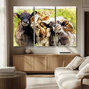 Curious Cows Farmhouse Wall Art | Ready to Hang and Framed