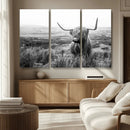 Scottish Highland Cow Wall Art | Black and White Canvas