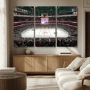 Honda Center California Anaheim Ducks Ice Hockey Stadium
