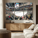 Xcel Energy Center St Paul Minnesota Wild Ice Hockey Stadium
