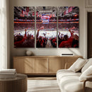 Carolina Hurricanes Ice Hockey Stadium Wall Art, Carolina