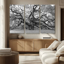 Black White Angel Oak Tree Wall Art - Timeless