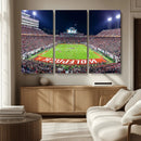 NC State Wolfpack Canvas Print - Raleigh Carter-Finley