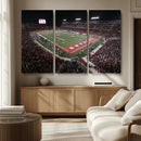 Houston Cougars Football Team Print - Houston TDECU Stadium