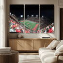 Houston Cougars Football Team Print - Houston TDECU Stadium by MyGreatCanvas | Canvas Wall Art Prints | Photo Prints & Wall Decor
