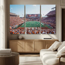 Framed Texas Memorial Stadium Canvas, University of Texas
