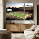 Darrell K Royal-Texas Memorial Stadium Canvas Wall Art -