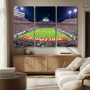 Wolfpack Football Team Print - Raleigh Carter-Finley Stadium