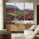 University of Illinois Fighting Illini Football Team Print - by MyGreatCanvas | Canvas Wall Art Prints | Photo Prints & Wall Decor