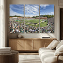 University of Charlotte 49ers Football Team Print - by MyGreatCanvas | Canvas Wall Art Prints | Photo Prints & Wall Decor