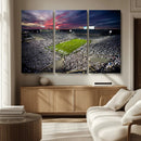 Penn State Nittany Lions Football Team Print - University