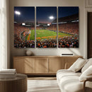 Clemson University Tigers Art Print, Football Team Print -