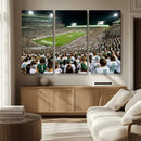 Michigan State Spartans Football Canvas Print - East Lansing