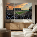 Michigan State Spartans Football Team Print - East Lansing