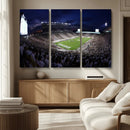Michigan State Spartans Canvas, Framed Football Team Print - by MyGreatCanvas | Canvas Wall Art Prints | Photo Prints & Wall Decor
