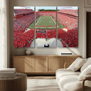 Rutgers Scarlet Knights Football Team Print - Piscataway SHI by MyGreatCanvas | Canvas Wall Art Prints | Photo Prints & Wall Decor