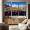 Ball State Cardinals Football Team Print - Muncie Scheumann