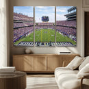TCU Horned Frogs Football Team Print - Fort Worth Amon G.
