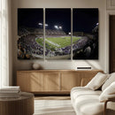 TCU Horned Frogs Football Team Print - Fort Worth Amon G.