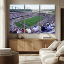 The Texas Christian University TCU Horned Frogs Football