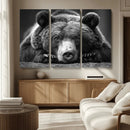 Resting Grizzly 399 Bear Canvas Print | Ready to Hang Wall