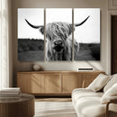 Highland Cow Wall Art | Black and White Farmhouse Decor |