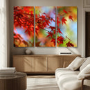 Red Leaves Autumn Forest Wall Art Canvas, Red Leaves Autumn by MyGreatCanvas | Canvas Wall Art Prints | Photo Prints & Wall Decor