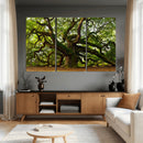 Angel Oak Tree Wall Art Canvas Print | Forest Tree Nature