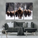 Bison Wall Art Canvas Print- Bison Herd Canvas Wall Art –